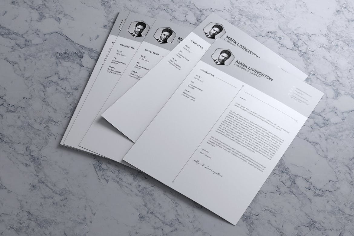 Curriculum Resume of Corporate Lawyer - Image 4