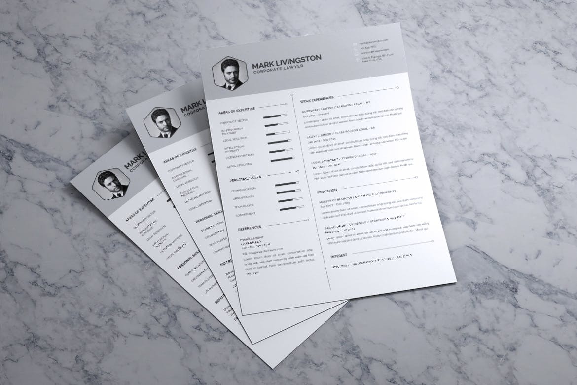 Curriculum Resume of Corporate Lawyer - Image 3