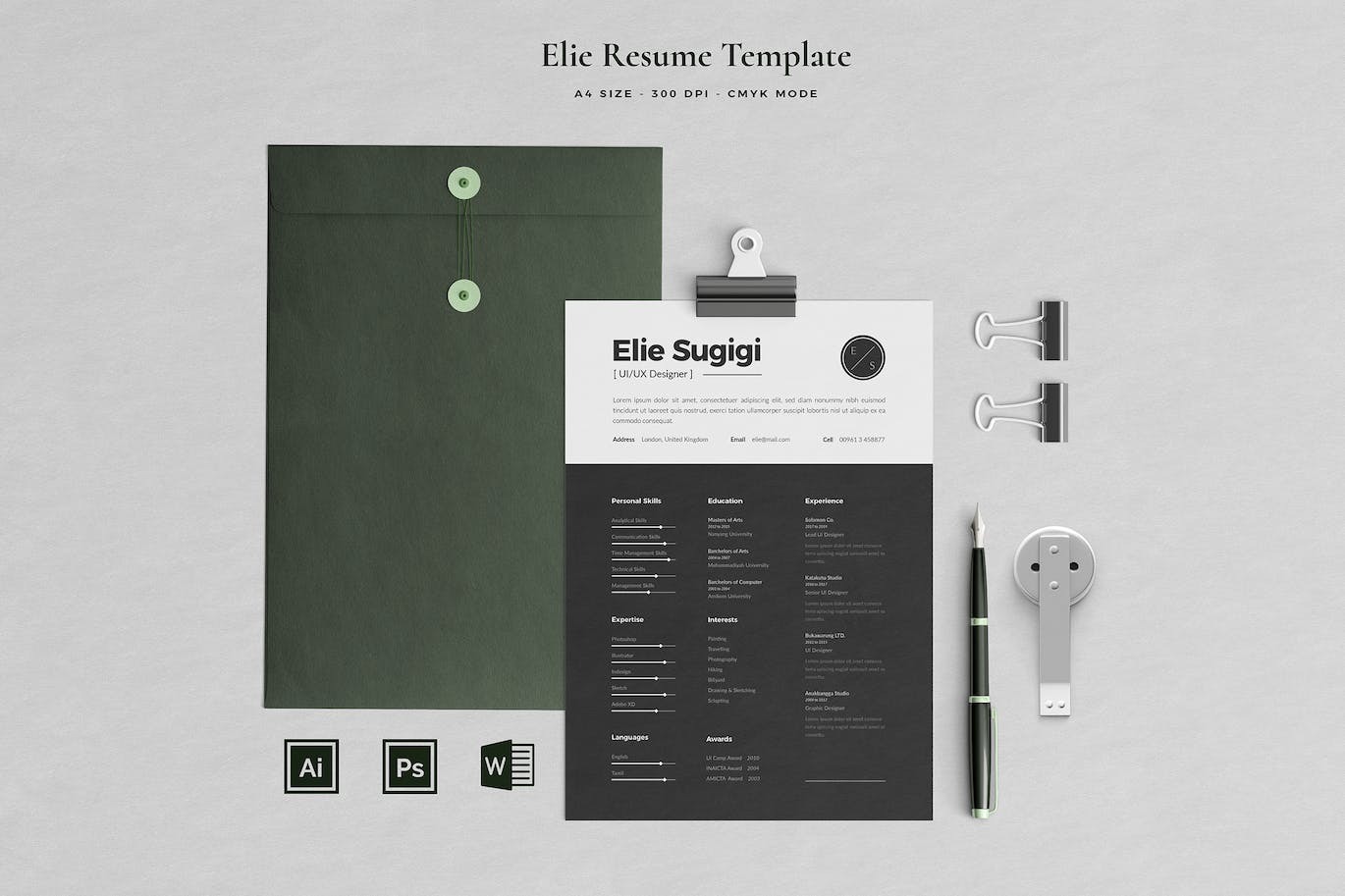 Modern Resume Cv template